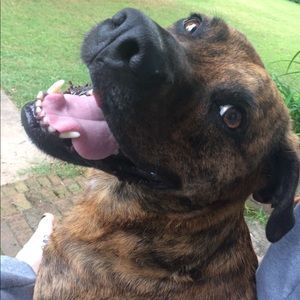 Meet your Posher, Casey